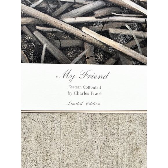 1983 Charles Fracé “My Friend, Rabbit” Signed Lithograph Print 23”X19” - Picture 8 of 9